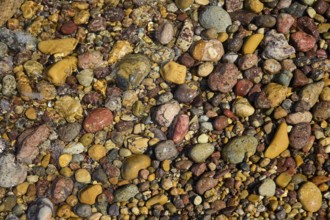 Variety of colourful pebbles covered by shallow water, Lambi Beach, Lambi Bay, Patmos, Dodecanese,