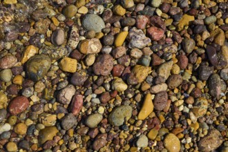 Colourful pebbles in a natural arrangement with different shapes and colours, Lambi Beach, Lambi
