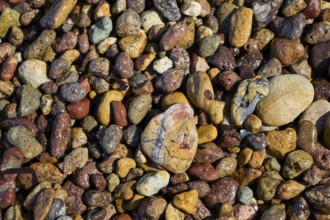 Various colourful pebbles with a smooth surface lying close together, Lambi Beach, Lambi Bay,