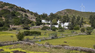 Rural area with stone walls and windmill on a grassy ridge, limoni Kalogiron monastery, Livadi
