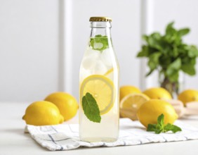 Bottle of fresh cold sparkling water lemonade with ice and lemon slices, mint, summer drink,