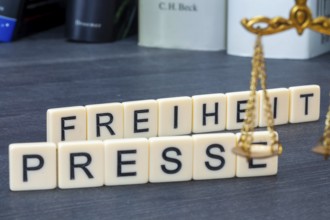 Wooden letters on a desk display the word PRESS FREEDOM (symbolic image)