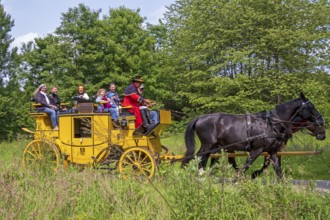 Postillion, passengers, stagecoach travelling through meadows, Verein Postkutsche Lüneburger Heide