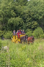 Postillion, passengers, stagecoach travelling through meadows, Verein Postkutsche Lüneburger Heide