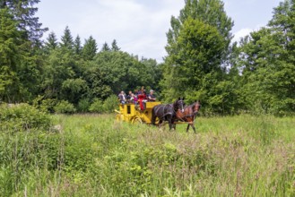 Postillion blowing horn, passengers, stagecoach travelling through meadows, Verein Postkutsche