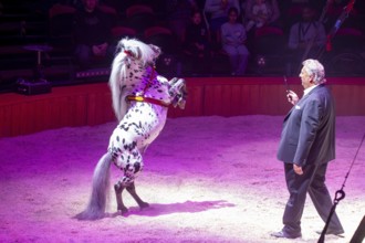 Performance of the Circus Barelli in Mannheim***Picture: Harry Barelli