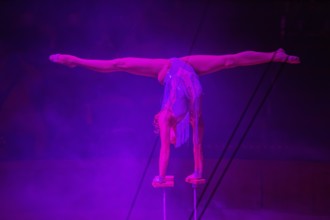 Performance by Circus Barelli in Mannheim***Picture: Hanstand acrobatics by Milena