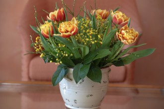 Bouquet of flowers, tulips (Tulipa) and mimosa (Mimosa pudica) in a vase, Bavaria, Germany