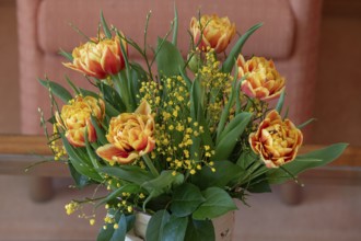 Bouquet of flowers, tulips (Tulipa) and mimosa (Mimosa pudica) in a vase, Bavaria, Germany