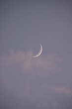 Evening sky and moon, Germany