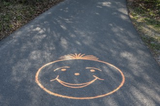 Painted smiley on the hiking trail to the Ochsenkopf, Bavaria, Germany
