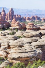 Sandstone pinnacles, Chesler Park, The Needles district, Canyonlands National Park, Utah, USA