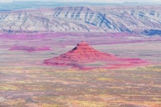 Valley of the Gods, elevated view, Utah, USA, North America