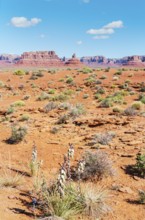 Valley of the Gods, Utah, USA