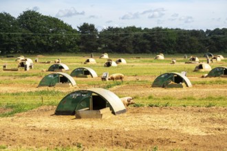 Free range outdoor pig farming, Butley, Suffolk, England, UK