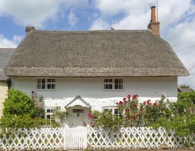 Rose Cottage attractive historic thatched cottage in village of Avebury, Wiltshire, England, UK