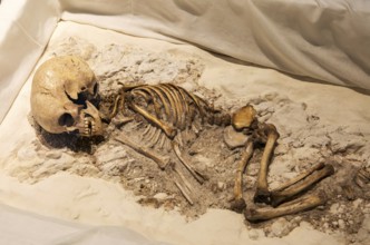 Neolithic archaeology exhibition inside Alexander Keiller Museum, Avebury, Wiltshire, England, UK -