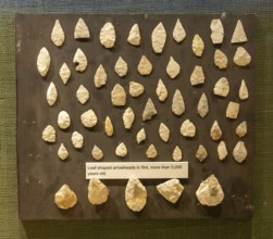 Neolithic archaeology exhibition inside Alexander Keiller Museum, Avebury, Wiltshire, England, UK -