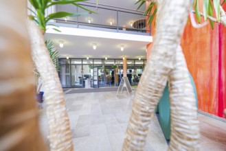 Modern entrance area with glass front, plants and colourful walls in a building, town hall, family