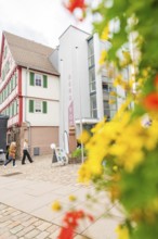 Modern and traditional architecture side by side, colourful flowers in the foreground, family party