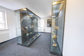 Museum showcases with a variety of minerals and rock exhibits, mineral museum, family festival in