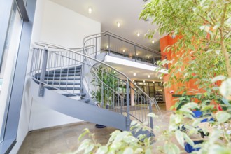 Stylish staircase with modern architecture, lots of light and plants in a building, town hall,