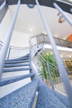 Modern spiral staircase with blue steps and a stylish banister in a bright interior, town hall,
