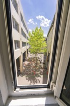 View from a window onto a courtyard with a tree, surrounded by buildings under a blue sky, Calw