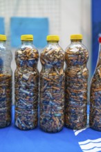 Plastic bottles filled with cigarette butts collected during a beach cleanup, highlighting