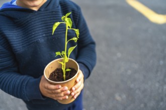 Young environmentalist holding a seedling in a recycled cup, symbolizing reforestation,