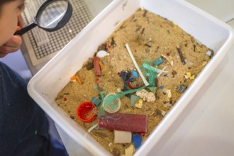 Elementary school student analyzing contaminated sand sample containing microplastics, raising