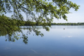 Lippesee, reservoir, branch in the foreground, Sande, Paderborn, Westphalia, North
