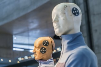 Department Myth 5. masterminds - safety and environment. Safety research with crash test dummy. The