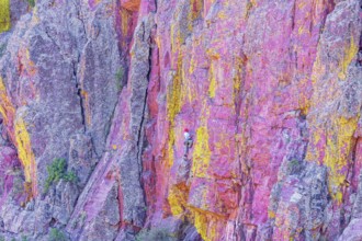 Man rock climbing, Coconino National Forest, Arizona, USA, North America