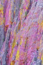 Man rock climbing, Coconino National Forest, Arizona, USA, North America