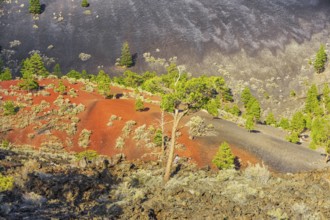 Sunset Crater Volcano National Monument, Flagstaff, Arizona, USA
