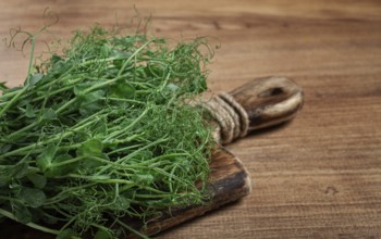 Vibrant green pea sprouts arranged neatly on a rustic wooden cutting board, showcasing their fresh