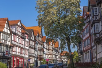 Bad Sooden, Allendorf, Allendorf district, historic old town with numerous half-timbered houses