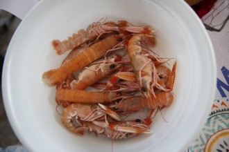 Greek prawns on a plate, Pelion peninsula or Pelion, Thessaly, Greece