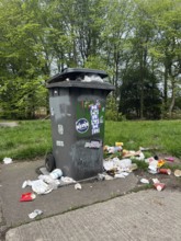 Disposable waste, car park, rubbish bin on the A28, Easter days, Lower Saxony, Germany