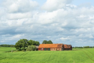 Landscape with red farm buildings by green field with crops and lots of clouds in Ystad