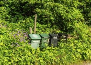 Mailboxes almost hidden in heavy vegetation in Tomelilla municipality, Skåne county, Sweden,