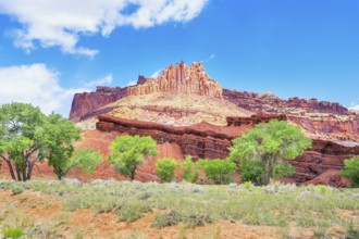 The Castle rock formation, Capitol Reef National Park, Utah, USA, North America