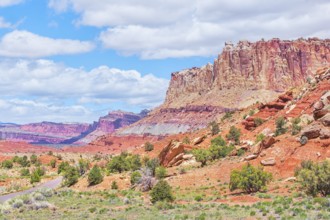 Sandstone cliffs, Capitol Reef National Park, Utah, USA, North America