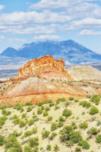 Capitol Reef National Park, Utah, USA, North America