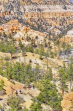 Bryce Canyon, Bryce Canyon National Park, Utah, USA