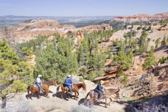 Bryce Canyon, Bryce Canyon National Park, Utah, USA