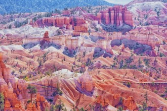 Bryce Canyon, Bryce Canyon National Park, Utah, USA