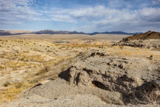 Echo wash drains into the Overton Arm of Lake Mead at Echo Bay, Nevada, USA