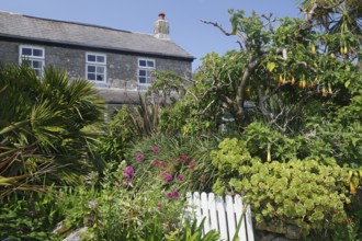 A stone house surrounded by a lush garden with tropical plants and colourful flowers under a blue